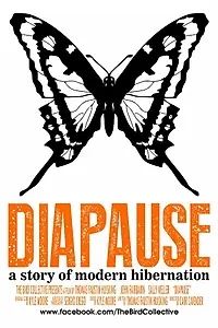 Постер к фильму «Diapause (2013)»
