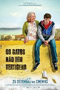 Главный постер фильма «У кошек нет головокружения (2014)»