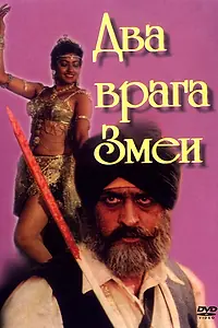 Постер к фильму «Два врага Змеи (1989)»