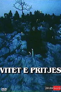 Постер к фильму «Vitet e pritjes (1990)»