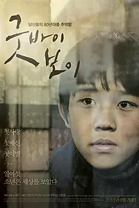 Постер к фильму «Прощай, мальчик (2010)»