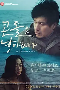 Постер к фильму «Полёт кондора (2012)»