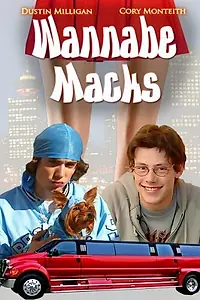 Главный постер фильма «Как научиться флиртовать (2011)»