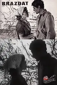 Постер к фильму «Brazdat (1973)»