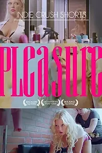 Постер к фильму «Удовольствие (2013)»