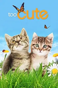 Главный постер сериала «Симпатичные котята и щенки (2011)»