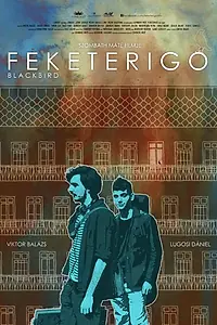 Постер к фильму «Feketerigó (2015)»