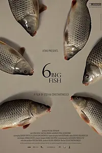 Постер к фильму «6 stora fiskar (2013)»