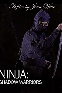 Главный постер фильма «Ниндзя: Воины-тени (2012)»