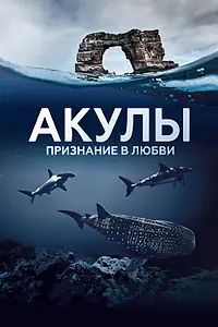 Главный постер сериала «Акулы. Признание в любви (2022)»