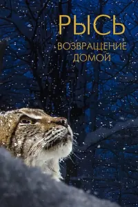 Постер к фильму «Рысь. Возвращение домой (2022)»