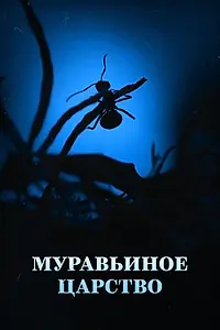 Постер к фильму «Муравьиное царство (2022)»