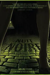 Постер к фильму «Nuit noire (2013)»