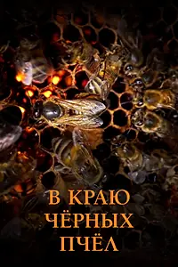 Главный постер фильма «В краю чёрных пчёл (2023)»