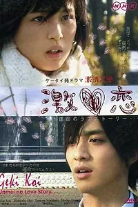 Главный постер сериала «Роковая история любви (2010)»