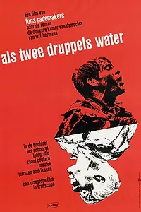 Главный постер фильма «Как две капли воды (1963)»