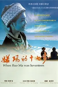 Постер к фильму «Когда Руоме было 17 (2002)»