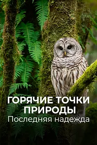 Постер к сериалу «Горячие точки природы. Последняя надежда (2018)»