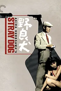 Главный постер фильма «Бездомный пёс (1949)»