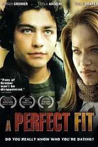 Постер к фильму «Идеальный вариант (2005)»