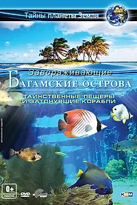 Постер к фильму «Багамские острова 3D: Таинственные пещеры и затонувшие корабли (2012)»