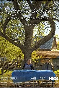 Постер к фильму «Szerelempatak (2013)»