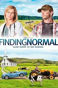 Постер к фильму «Finding Normal (2013)»