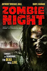 Главный постер фильма «Ночь зомби (2013)»
