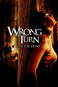 Главный постер фильма «Поворот не туда (2010)»