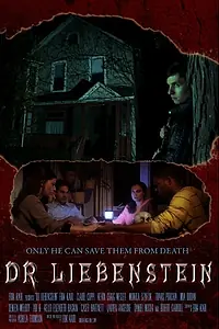 Постер к фильму «Dr Liebenstein (2014)»