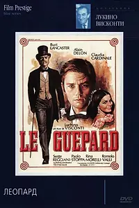 Постер к фильму «Леопард (1963)»