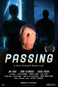 Постер к фильму «Passing (2013)»