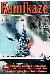 Постер к фильму «Камикадзе в цвете (2002)»