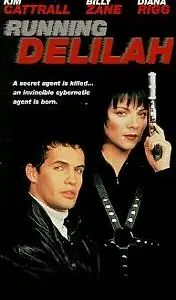 Постер к фильму «Специальный агент Дилайла (1993)»