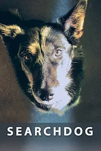 Главный постер фильма «Searchdog (2016)»