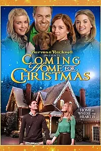 Постер к фильму «Coming Home for Christmas (2013)»