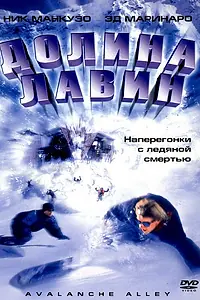 Постер к фильму «Долина лавин (2001)»