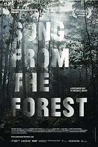 Главный постер фильма «Song from the Forest (2013)»