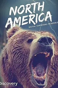 Главный постер сериала «Discovery: Северная Америка (2013)»