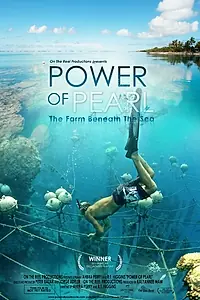 Постер к фильму «Power of Pearl (2017)»