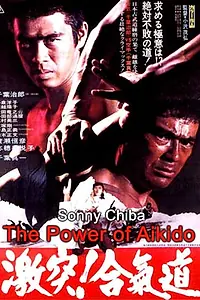 Постер к фильму «Сила Айкидо (1975)»
