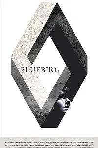 Постер к фильму «Bluebird (2015)»