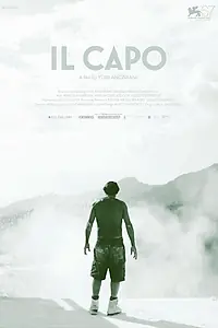 Главный постер фильма «Начальник (2010)»