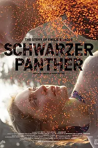 Постер к фильму «Schwarzer Panther (2014)»