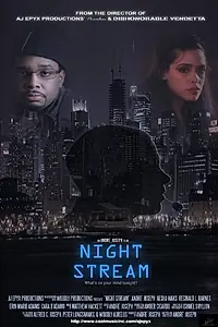 Постер к фильму «Night Stream (2013)»