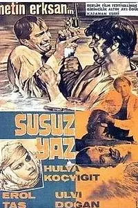 Постер к фильму «Засушливое лето (1963)»
