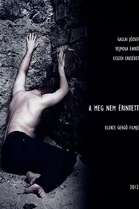 Постер к фильму «A meg nem érintett (2012)»