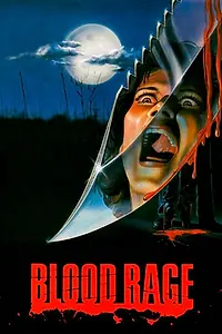 Постер к фильму «Кровная ярость (1987)»
