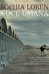 Постер к фильму «Человеческий голос (2014)»