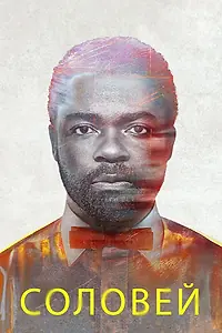 Постер к фильму «Соловей (2014)»